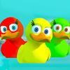 Swift Duck