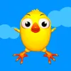 Tapping Birds