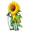 Rapping Sunflower Stickers